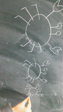 201302121942000.jpg